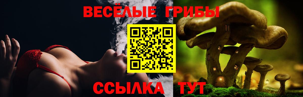 Псилоцибиновые грибы GOLDEN TEACHER  цены   Вход с VPN  Тольятти  Псилоцибиновые грибы мицелий 
